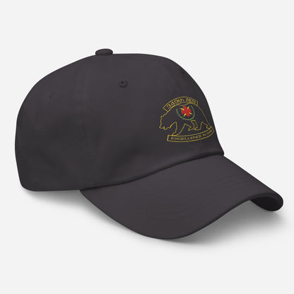 349th AES California Bear Transparent Design Dad hat