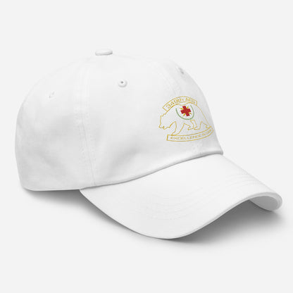 349th AES California Bear Transparent Design Dad hat