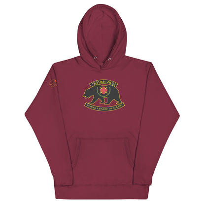 349th AES California Bear v2.0 Unisex Hoodie